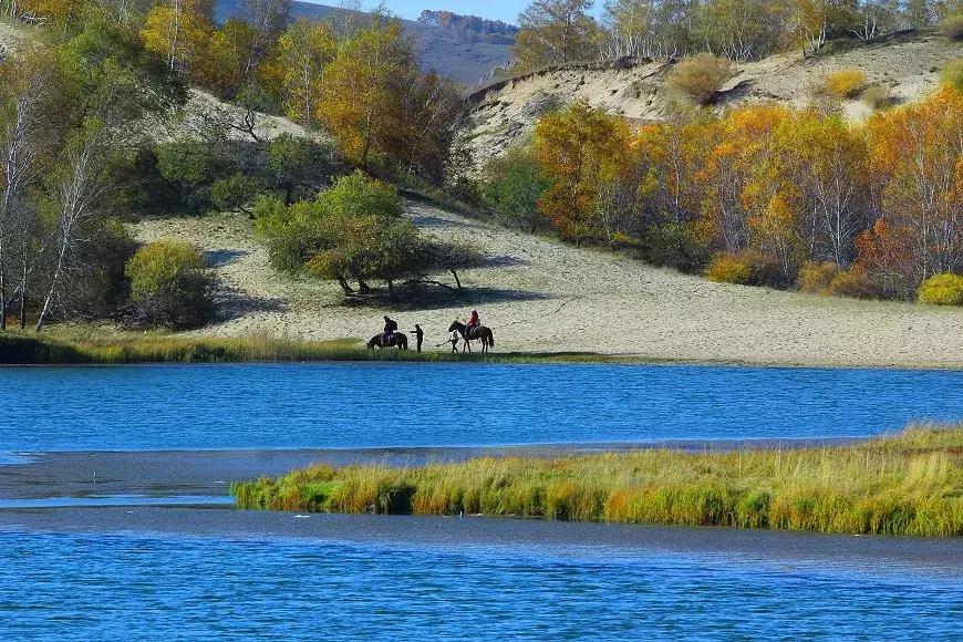 草原风光宛如油画 (呼伦贝尔大草原美图)