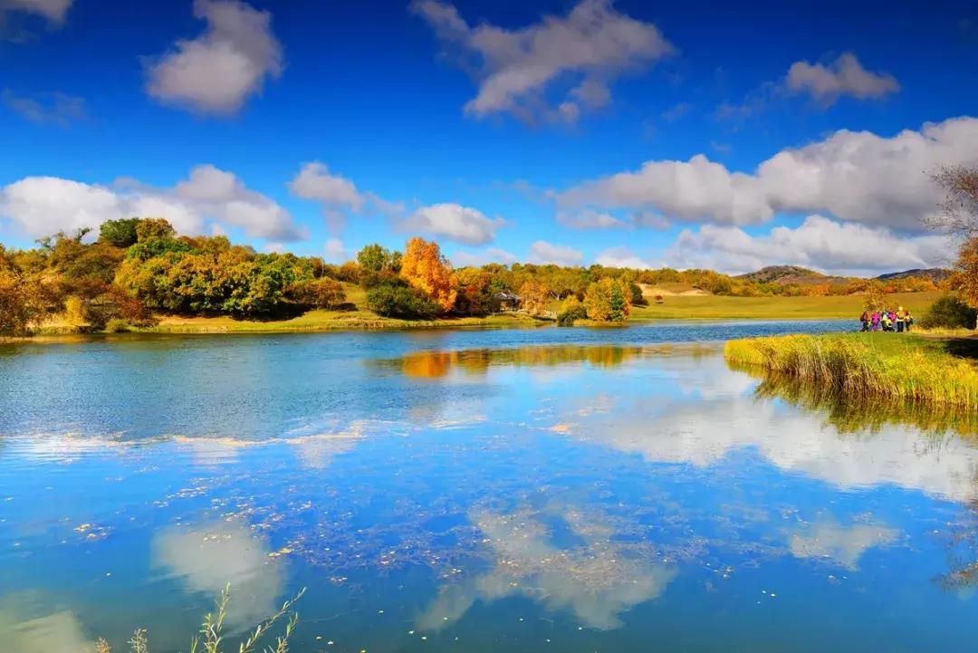 草原风光宛如油画 (呼伦贝尔大草原美图)