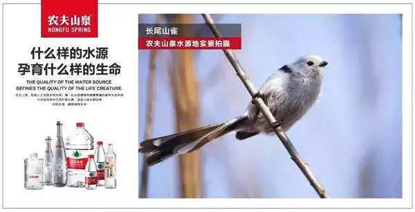 品牌管理是销售吗,品牌管理营销沟通的原则