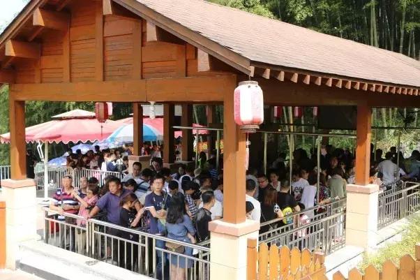 竹海国庆旅游记,竹海风景区国庆节