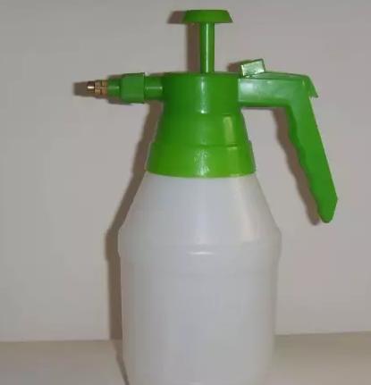 花儿除虫的妙招,花儿生虫用什么药