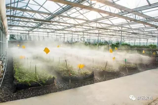 山东庆云有发展潜力,全国百强县庆云排名