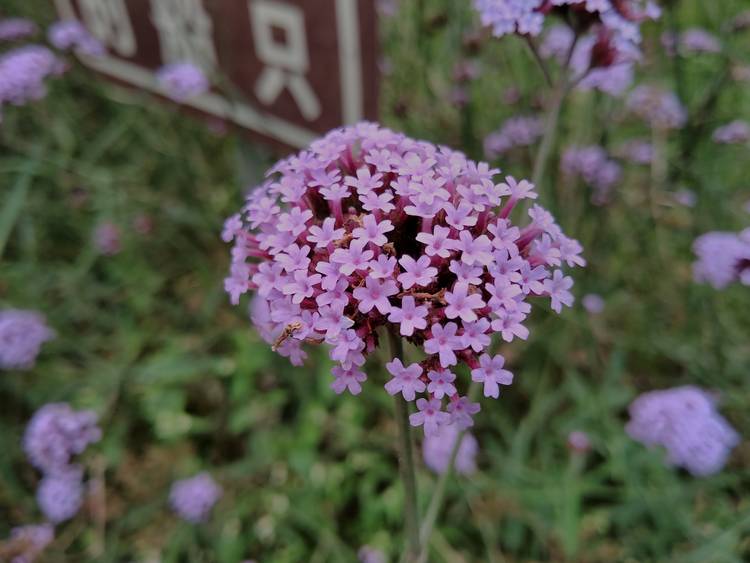 360手机n7pro测评,360n7pro跟哪款手机对比功能