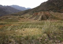 樊梨花生平事迹20字,樊梨花生平事迹