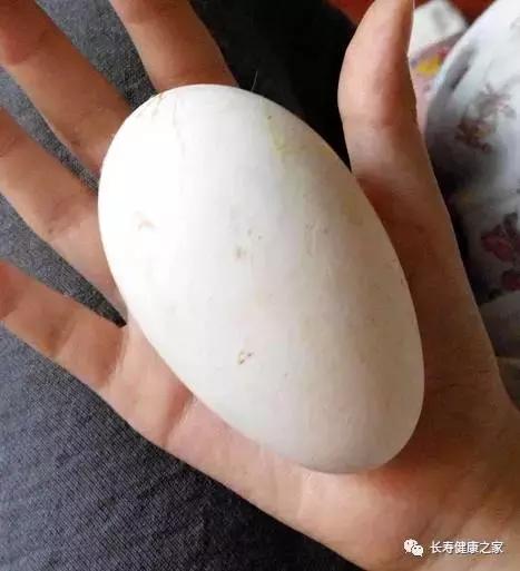 孙思邈千金方减肥药方,孙思邈备急千金方药方