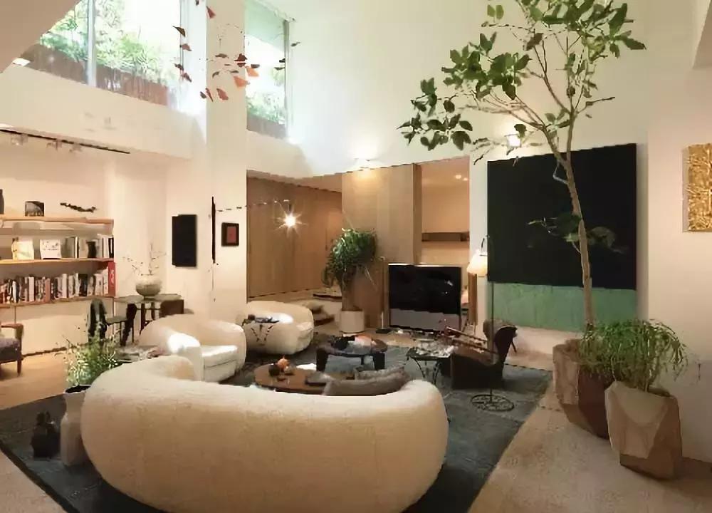 日本富豪免费招募月球之旅,日本富豪去月球