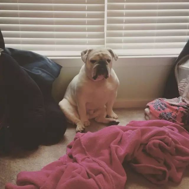 潮牌都是哪些人在穿,穿潮牌的人什么心态