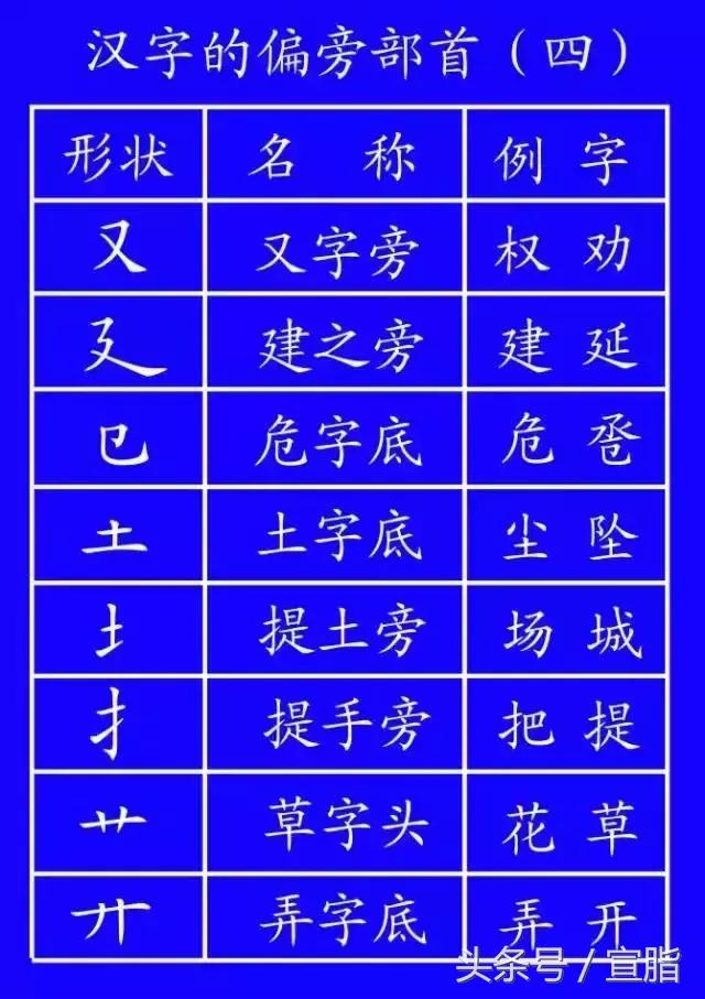 权威专家教你正确的汉字笔顺技巧,专家揭秘汉字正确的笔顺技巧