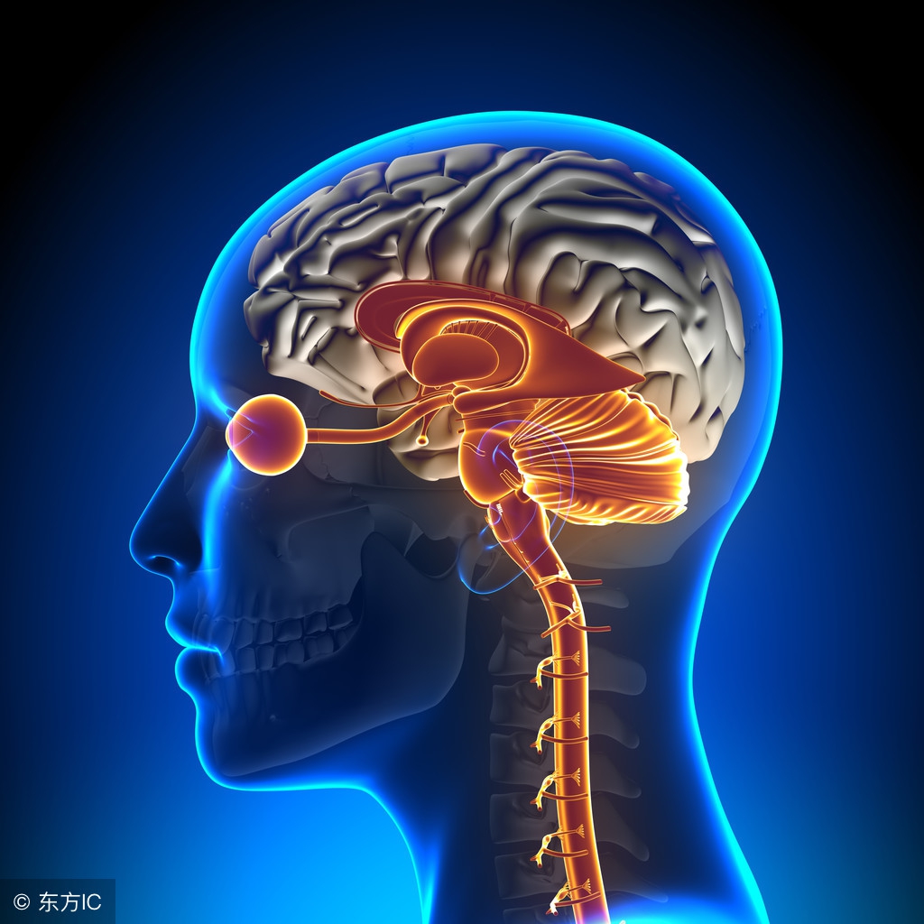 脑梗塞怎么治疗最好最有效,脑梗塞怎么治疗最好最快