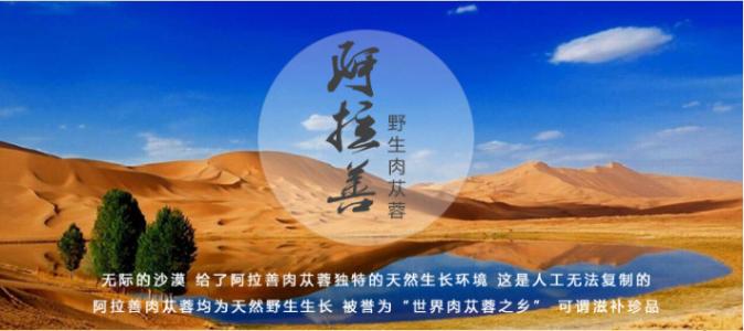 内蒙阿拉善肉苁蓉有限公司,阿拉善肉苁蓉100克一根