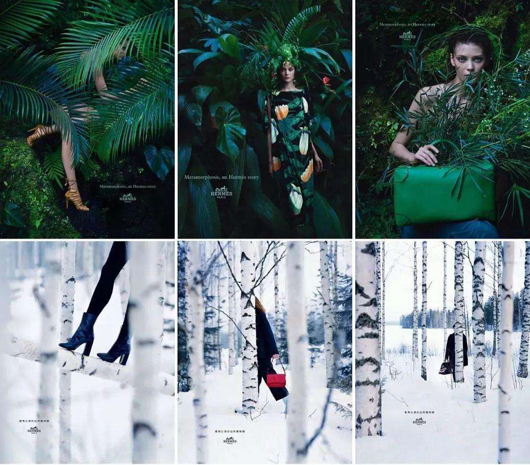 hermes爱马仕丝巾价格,爱马仕丝巾灵感来自哪里