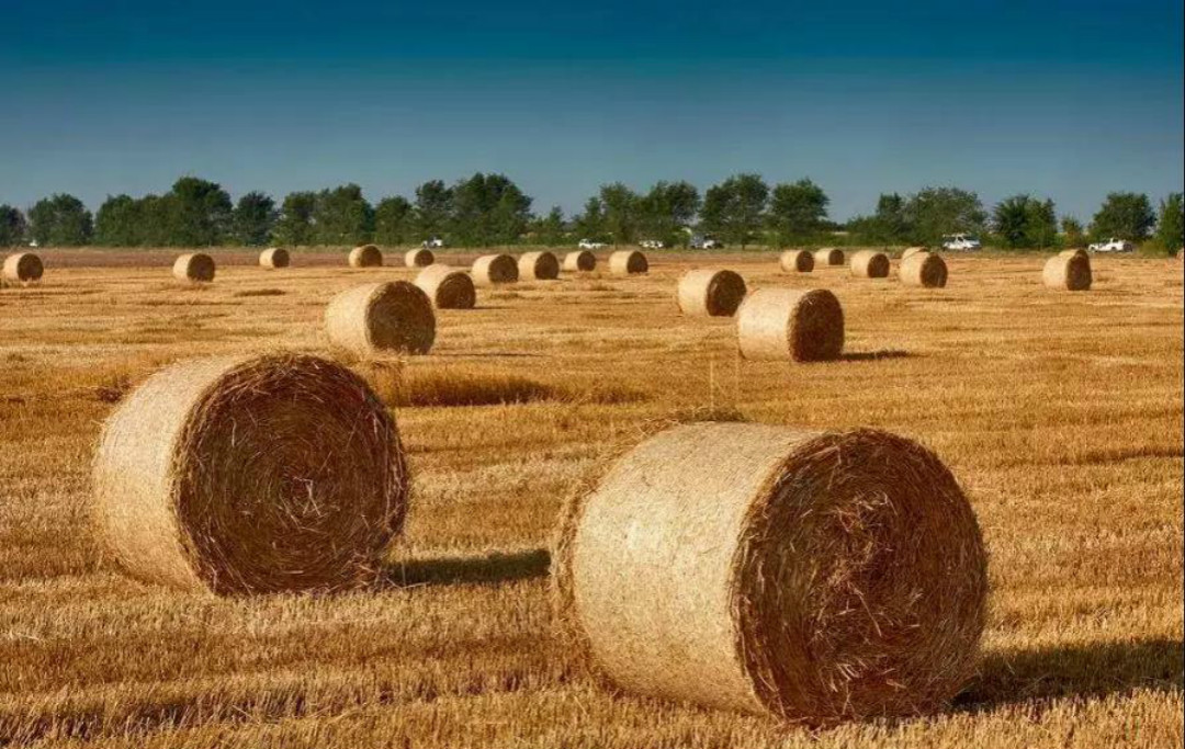 乡村改造田园景观设计,乡村特色复古景观设计