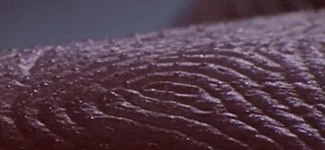 从猿进化到人的原因,从猿进化成人类的原因是什么