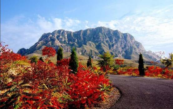 张家口自驾游必去的十个景点,张家口旅游景点大全图片欣赏