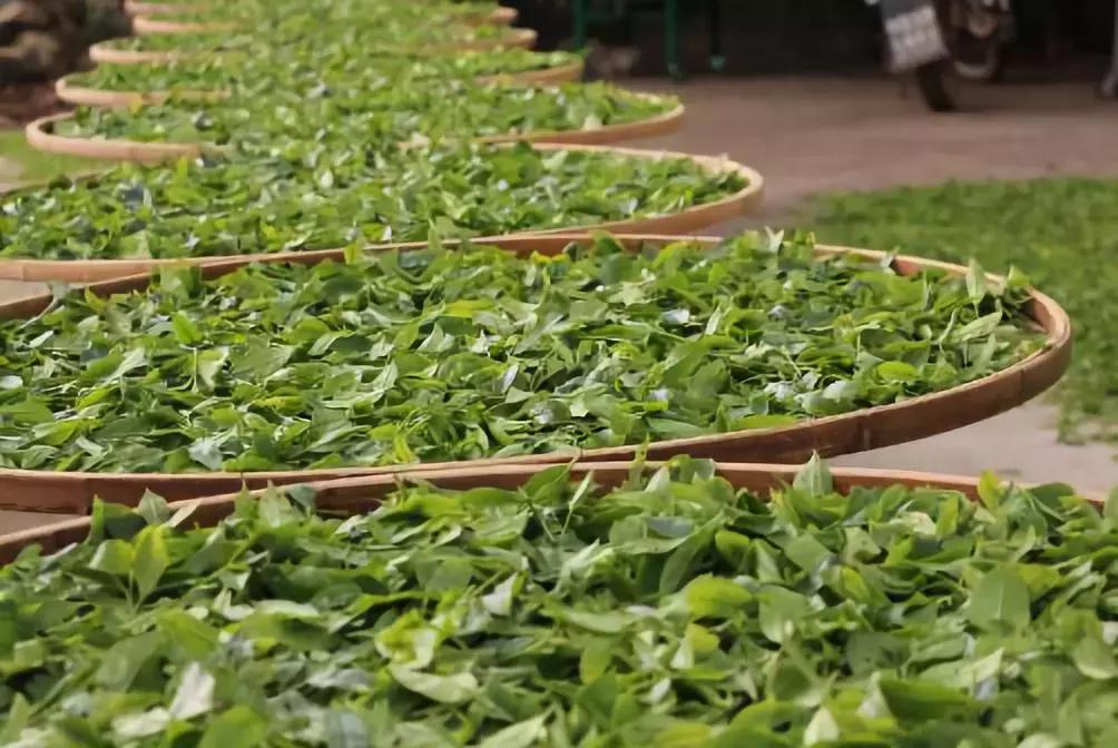 潮汕也有一座“凤凰古城”，古香古韵美不胜收！