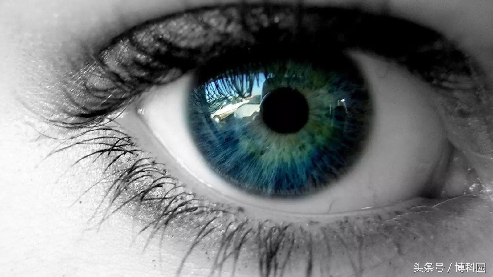 基因治疗失明最新政策,基因疗法有望让失明者重见光明