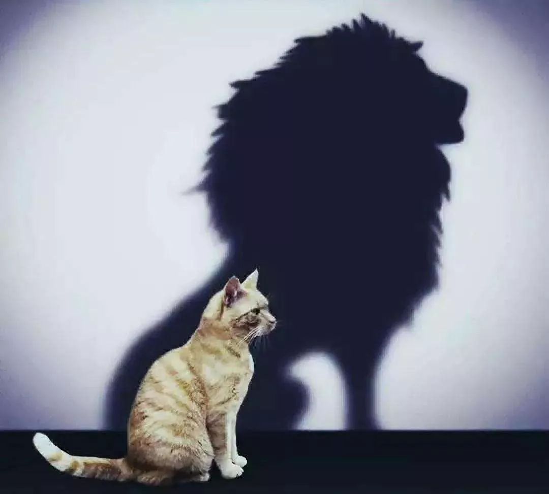 关于成功与梦想的励志句子,有意义的英文短句励志