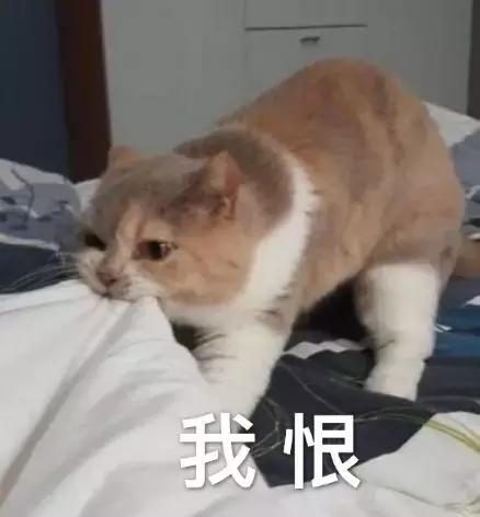 网上特别火的电话推销小姐姐,最近为啥那么多的推销电话