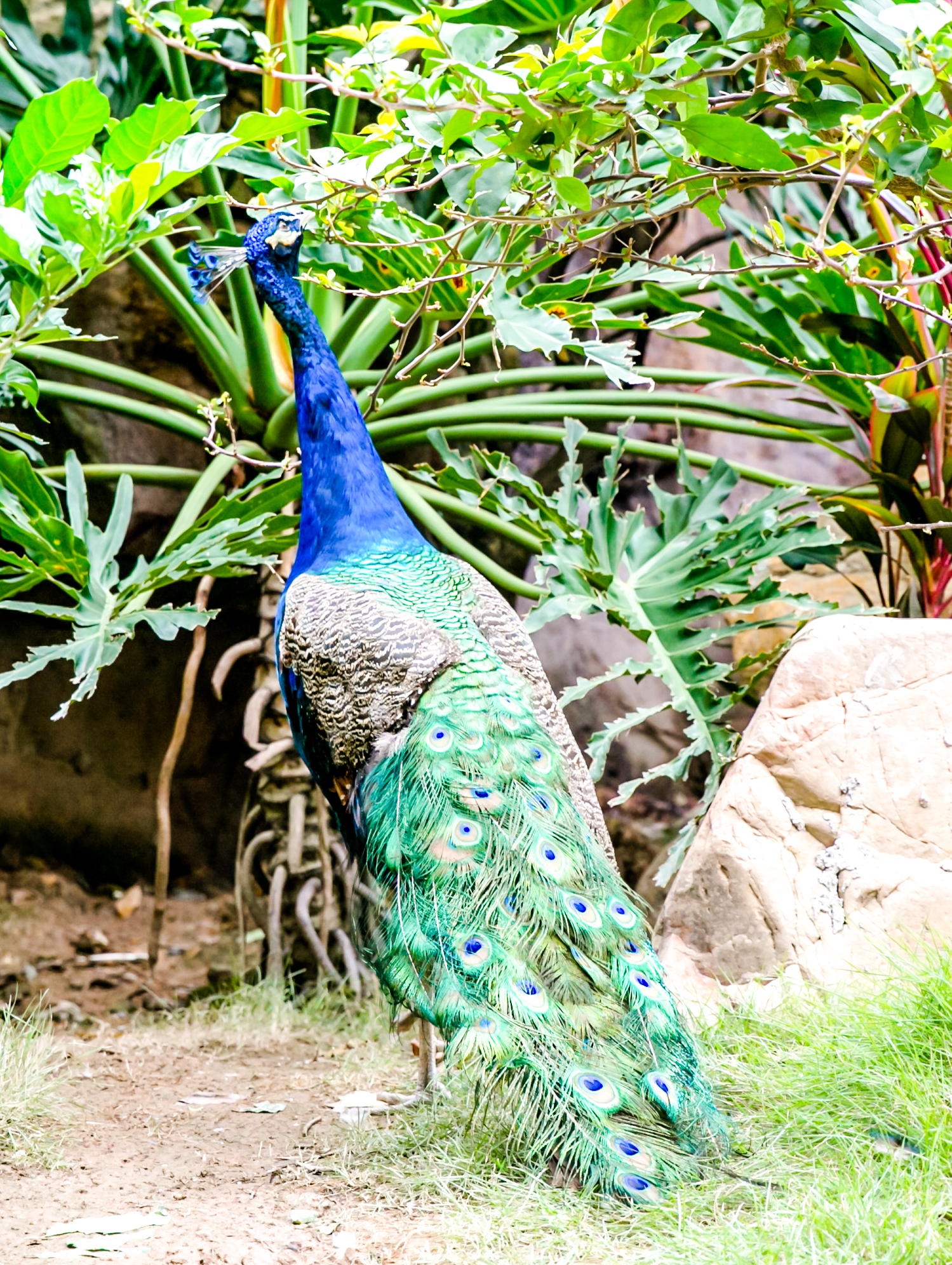 鏉ュ埌骞垮窞鐧戒簯姹囧箍鍦轰笌瑙備紬瑙侀潰,鐧戒簯姹囧箍鍦哄槈骞村崕