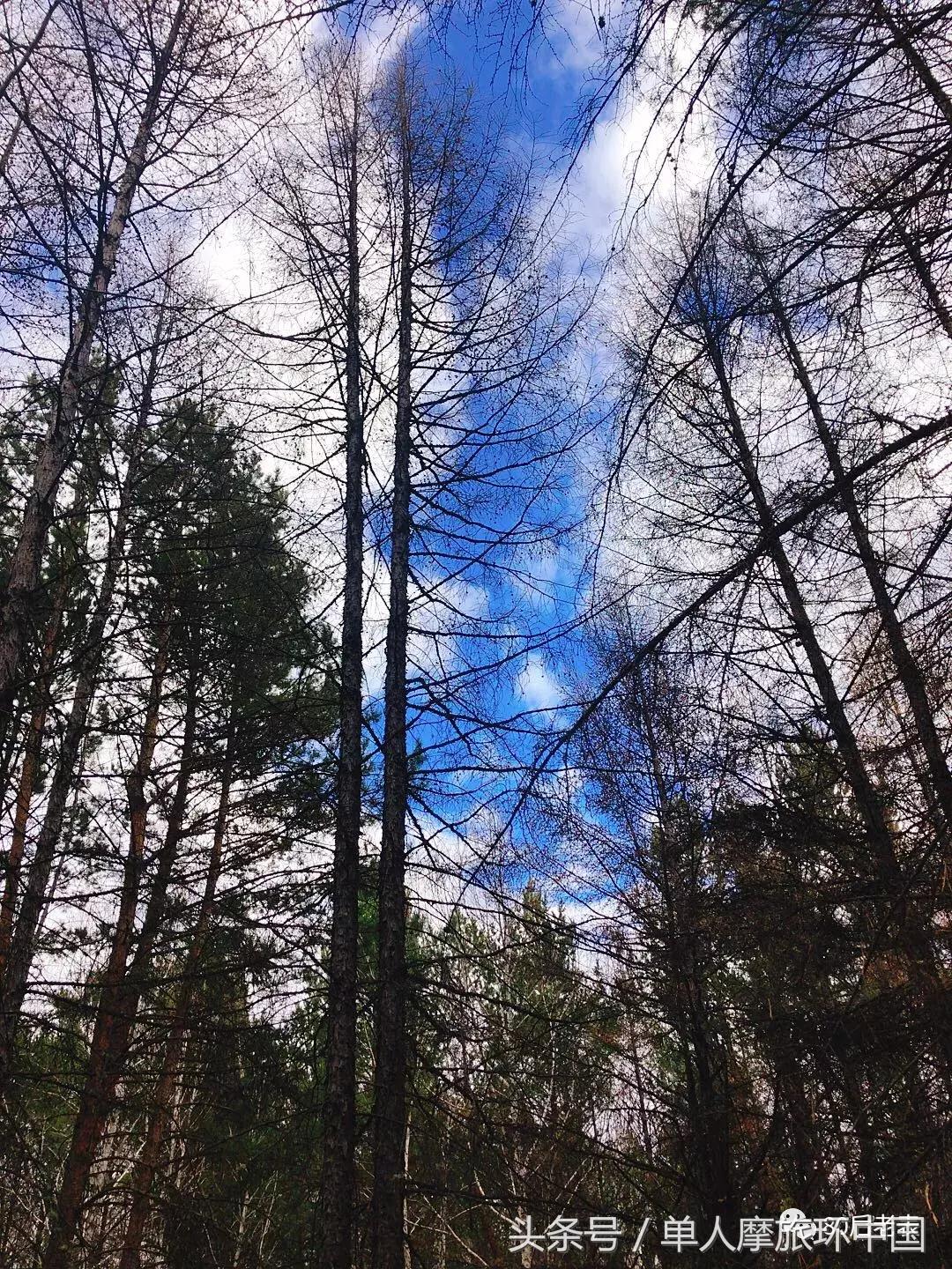 北极村到冷极村的路,摩旅边境日记