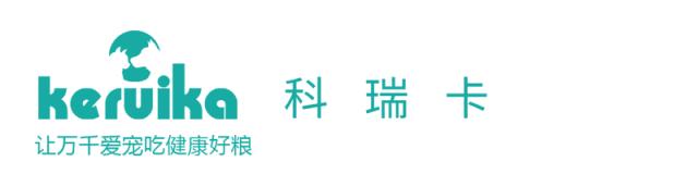 幼猫丢了找回来的巧方法,猫咪丢了怎么办怎么报警