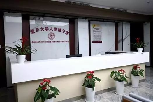 想考上复旦需要多努力,想去复旦读博