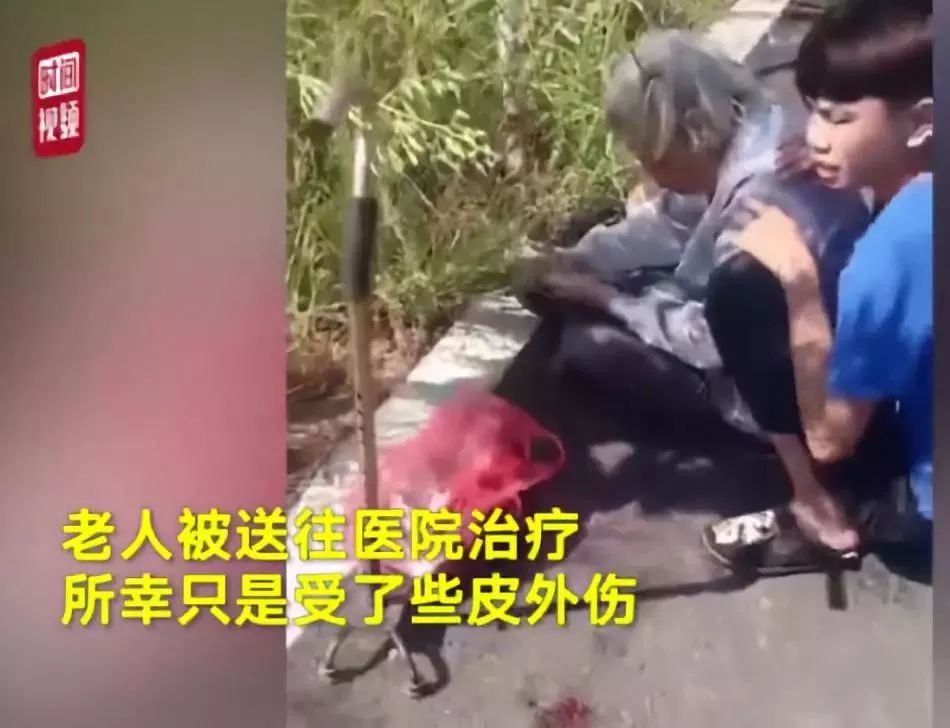 三分钟法治新闻全知道,法治3分钟新闻速评