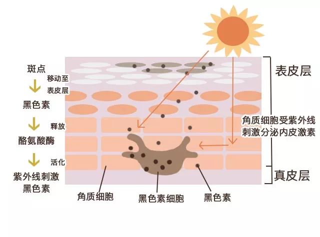 黑眼圈怎么去除最快方法,黑眼圈怎么去除最有效的方法