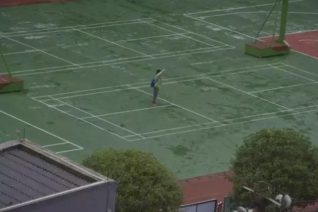 网红莉哥改编,网红莉哥唱的歌曲四个字