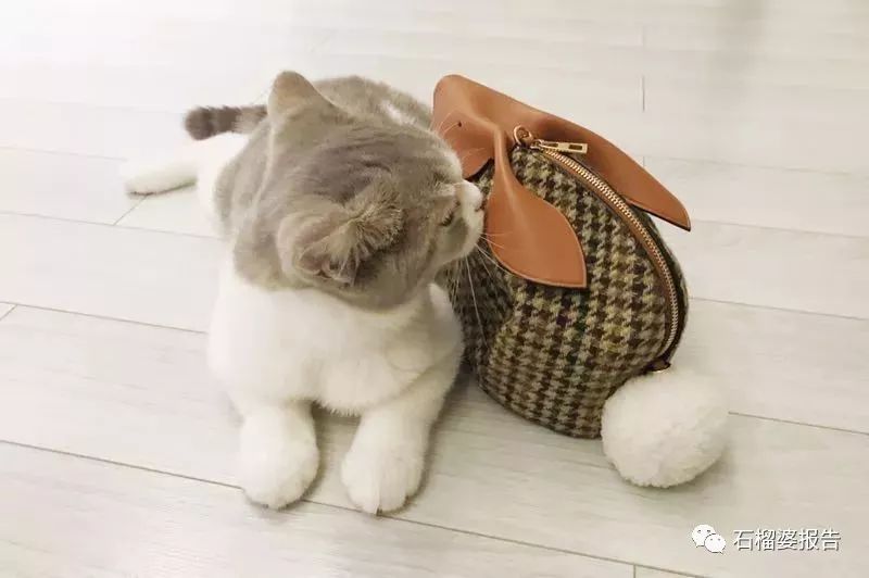 春季必买包包,买大牌包包的意义