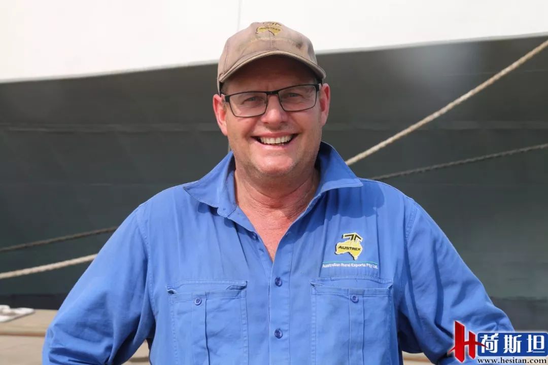 7000头“澳妞儿”登陆天津港创2018荷斯坦奶牛单批进口之最