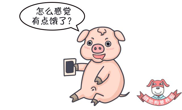 排毒瘦身足贴,足贴正品祛湿气排毒减肥测评