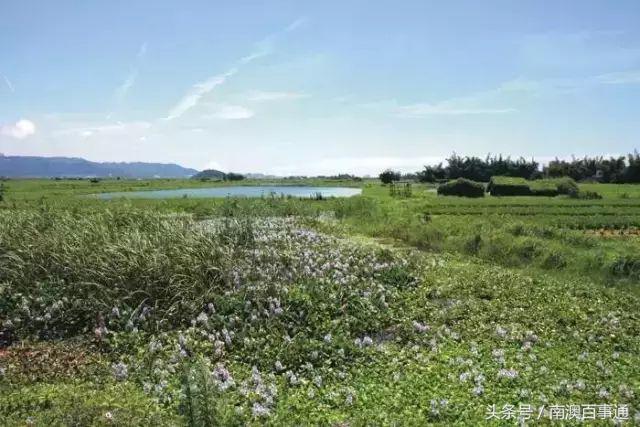 汕头旅游景点推荐第一名,汕头文物保护单位旅游景点推荐