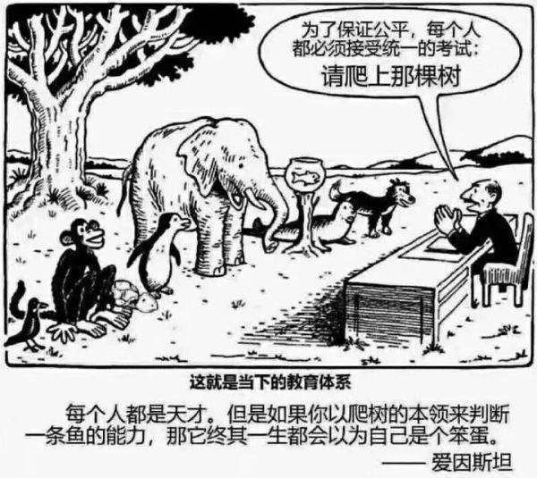 新父母大学书籍,新父母教育书籍