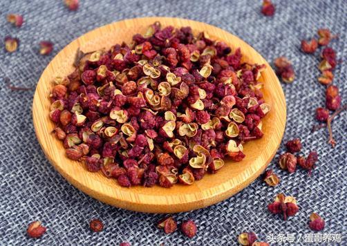 老兽医养鸡秘诀,老兽医教养鸡方法