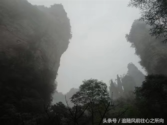 跟团旅游有什么好处和坏处英文,跟团旅游的好坏处