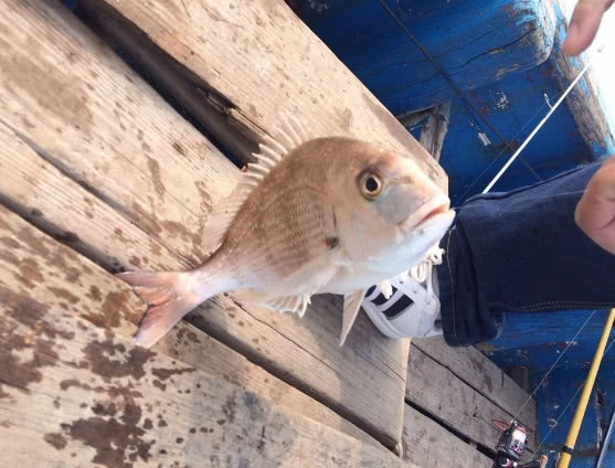 海钓最大的收获,海钓过足瘾