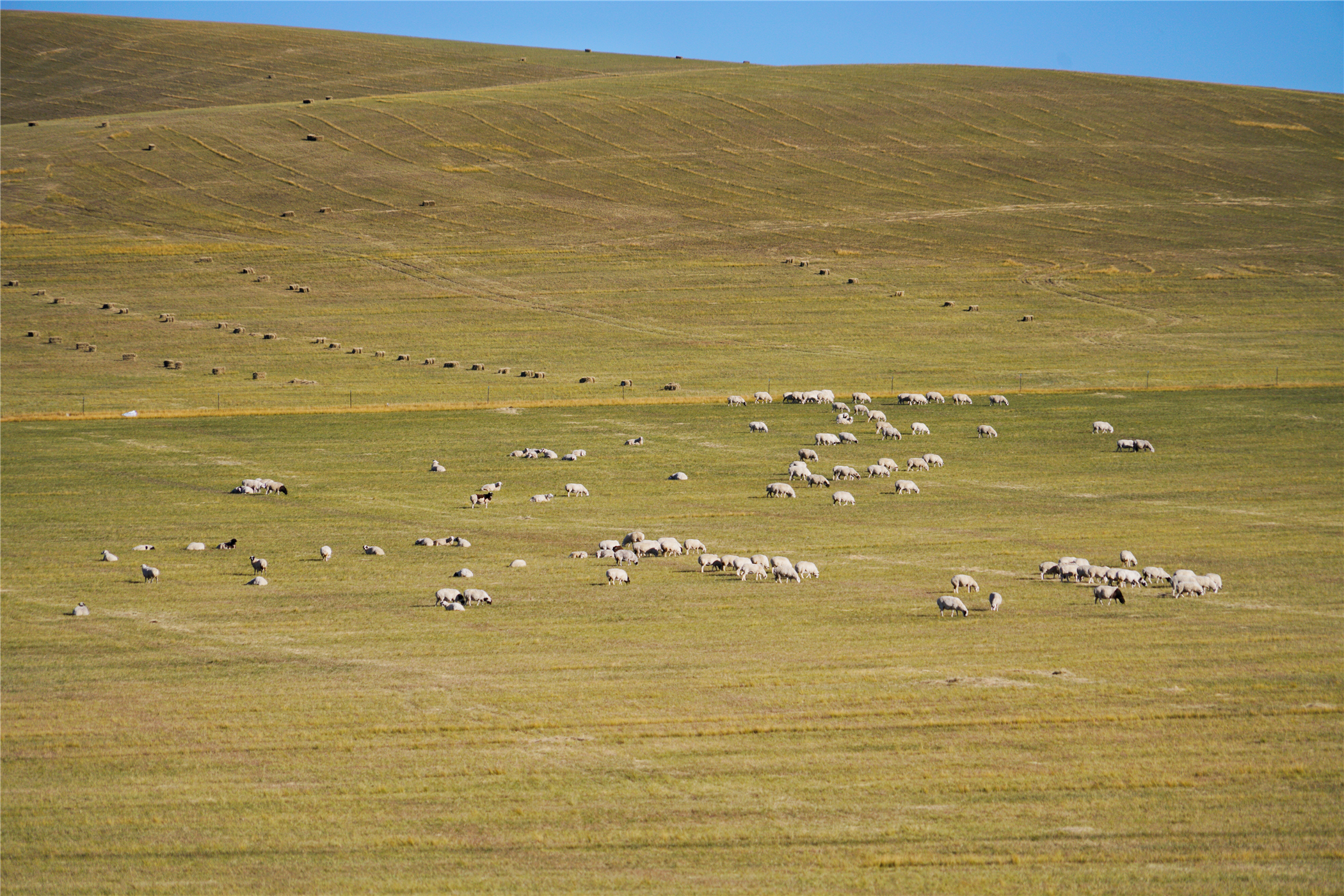 锡林郭勒大草原冬天旅游攻略,锡林郭勒大草原旅游攻略全部