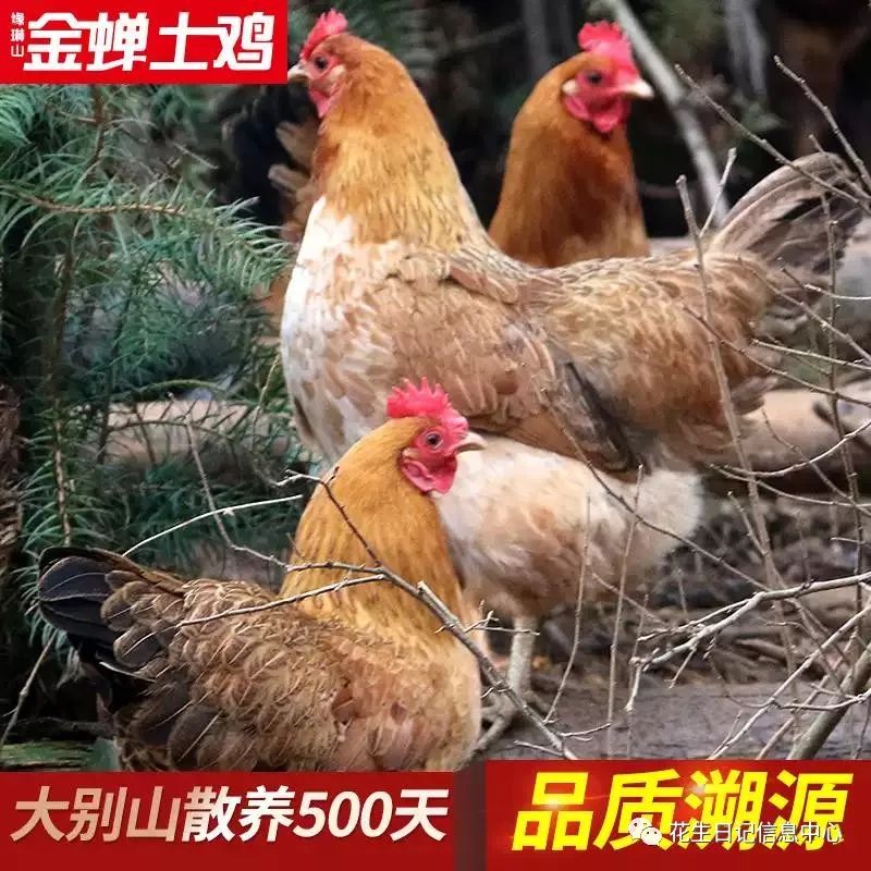 聚划算限时折扣,聚划算抢券在哪里抢