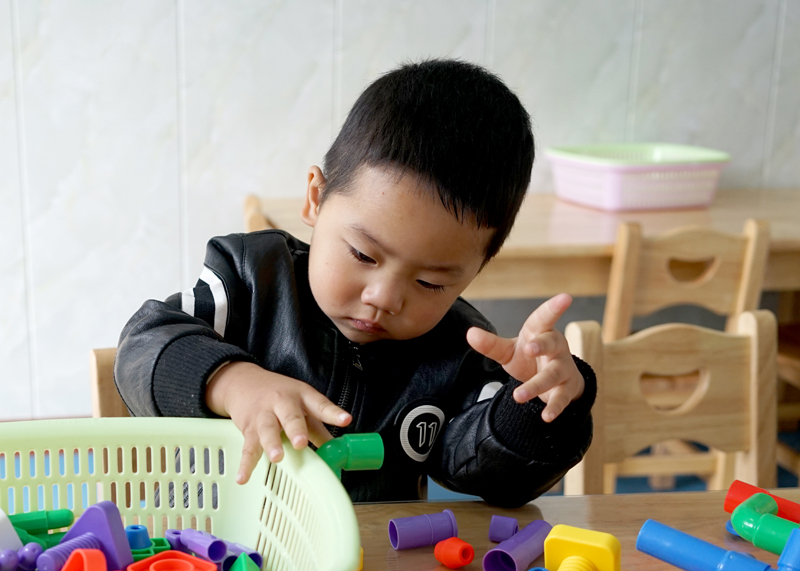 金梧桐幼稚园,金梧桐幼稚园营业执照