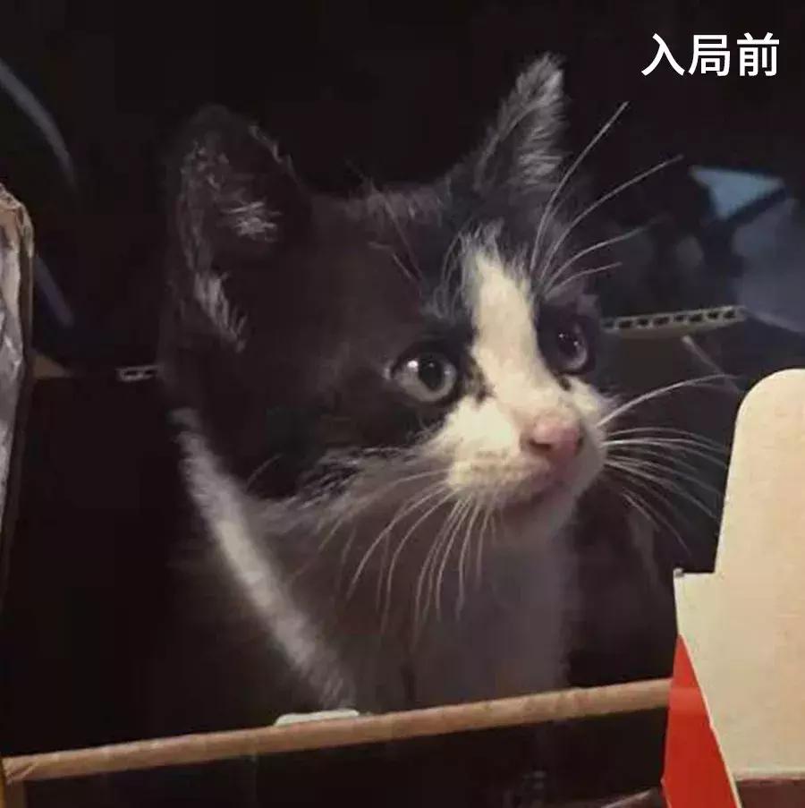 低卡减脂餐1个月瘦30斤,低卡零食瘦25斤