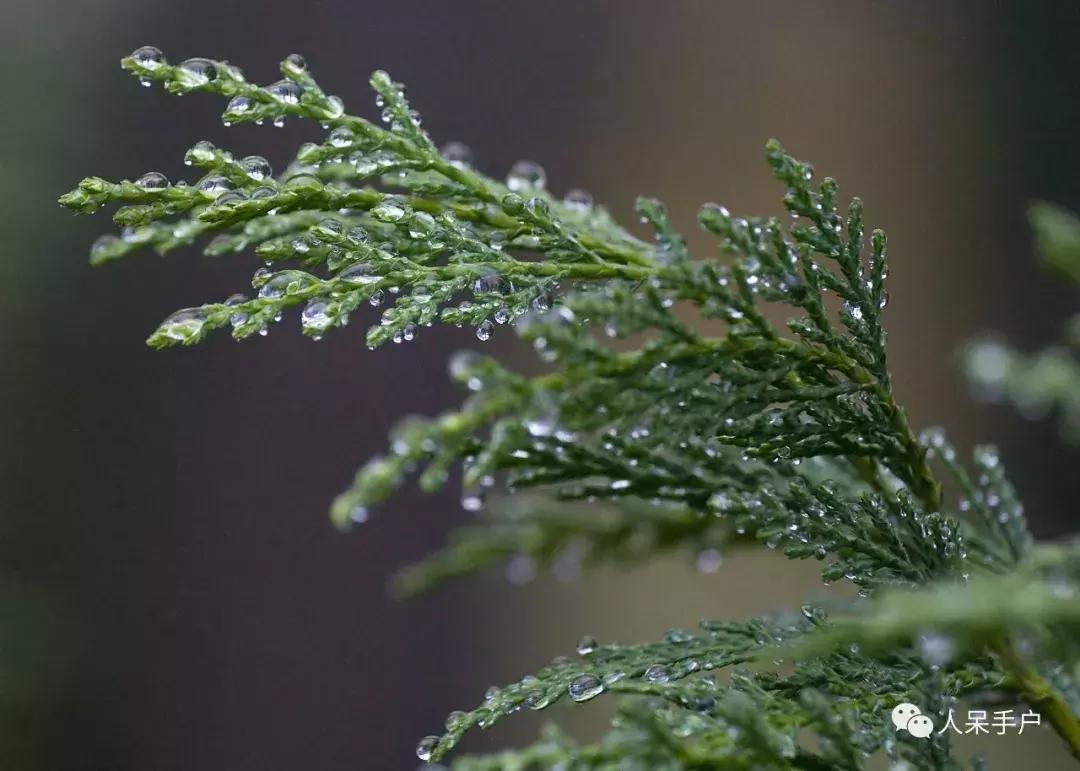 秋天到底是什么颜色的呢,秋天和秋雨是一种什么样的颜色