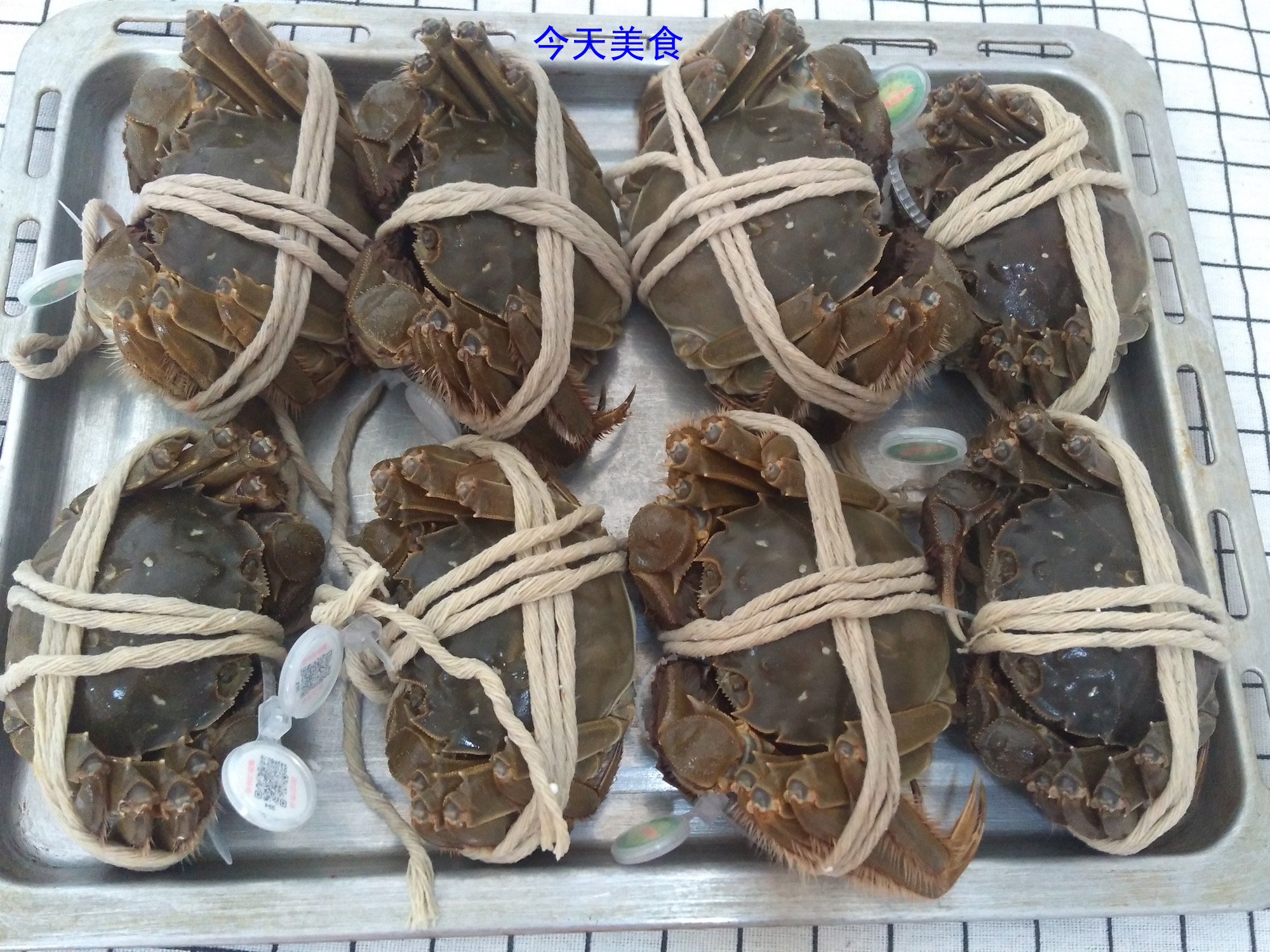 秋天是吃大闸蟹的最佳时间吧,秋风响蟹脚痒赏析