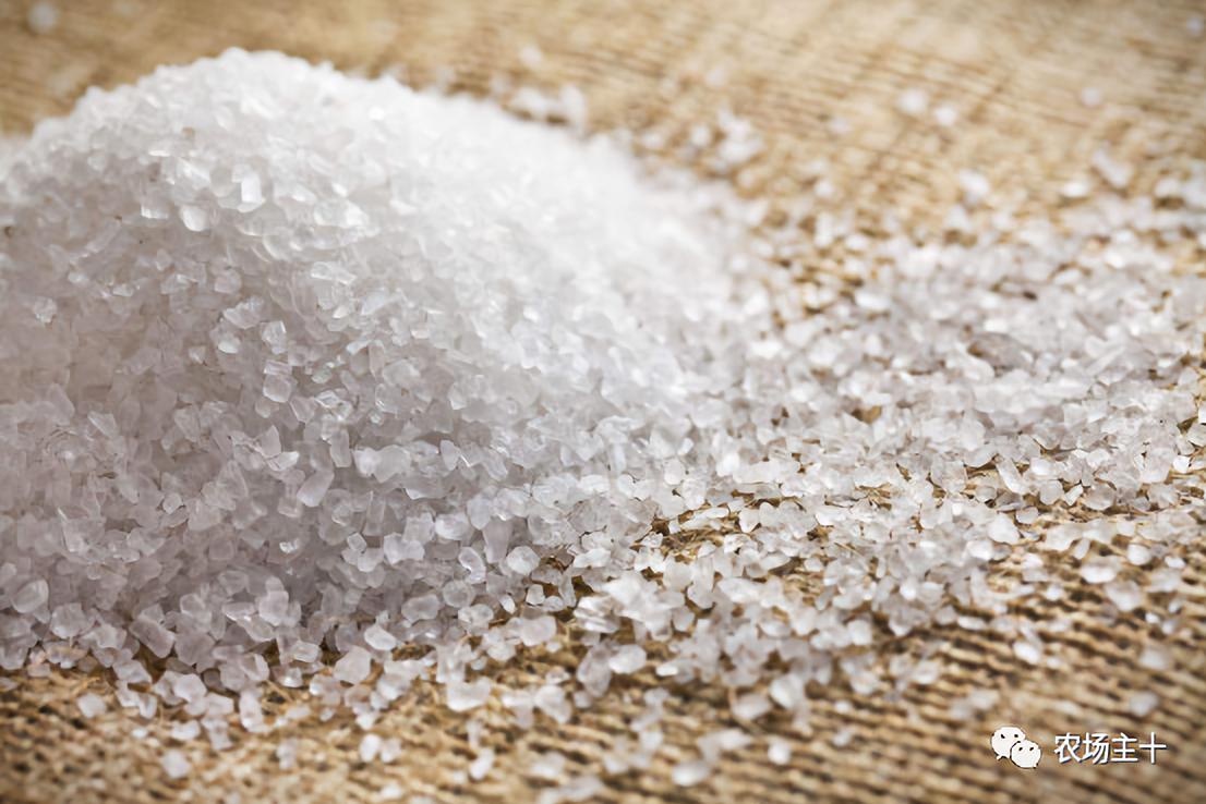 日本卖不掉的食品出现在中国,日本在中国卖的天价的东西