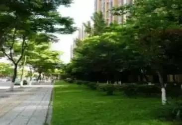 金牛区未来100个项目,金牛互助片区项目