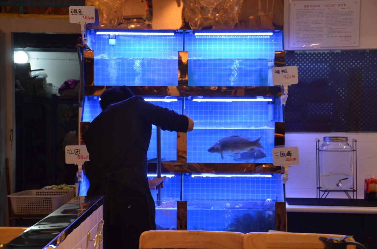 小懂带你吃遍天下丨测评之“鱼乐圈”