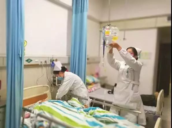 中国锦鲤的现状,中国锦鲤公布名单