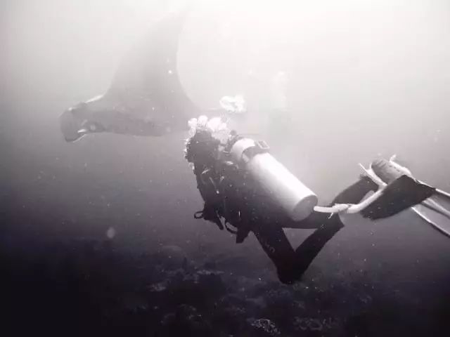 潜水证需要考哪些,考一个潜水证大约需要多久