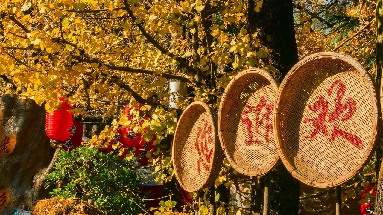 看火山泡温泉：北回归线上四季如春的腾冲特有的温暖