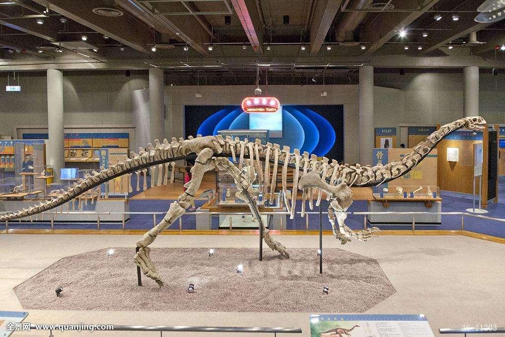 游玩香港,香港亲子一日游最佳攻略自由行